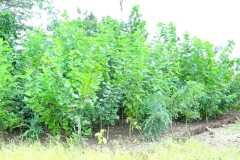 PHOTO-2026-01-01-08-51-46