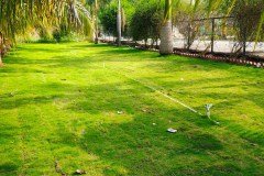 PHOTO-2026-01-01-09-01-24