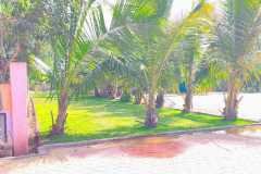 PHOTO-2026-01-01-09-01-25