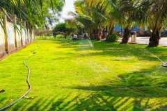 PHOTO-2026-01-01-09-01-26