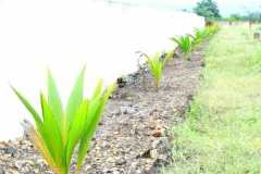 PHOTO-2025-10-13-21-24-35