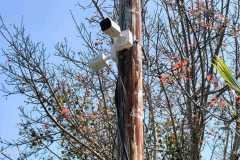 PHOTO-2025-10-13-21-24-41